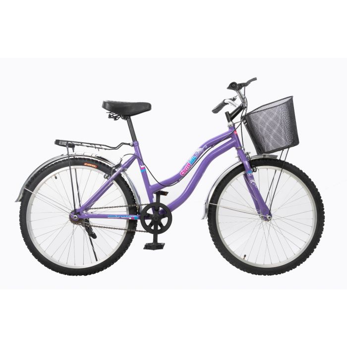 Bicicleta vintage sales rodada 24
